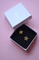 DSC_4808j.JPG